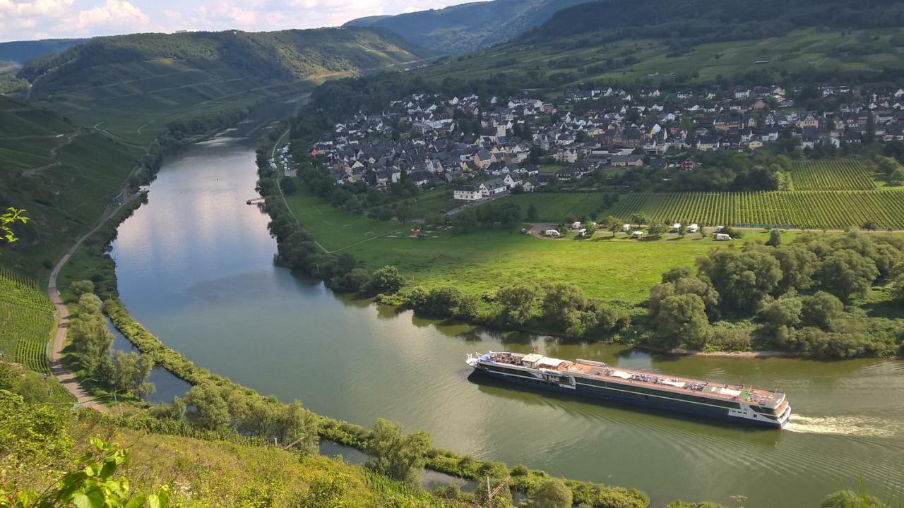 Mosel Ausblick Daire Zell an der Mosel Dış mekan fotoğraf