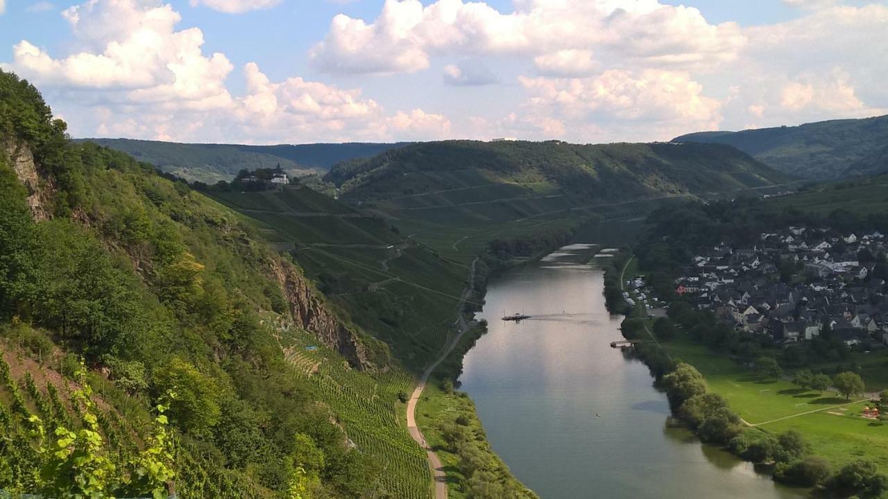 Mosel Ausblick Daire Zell an der Mosel Dış mekan fotoğraf