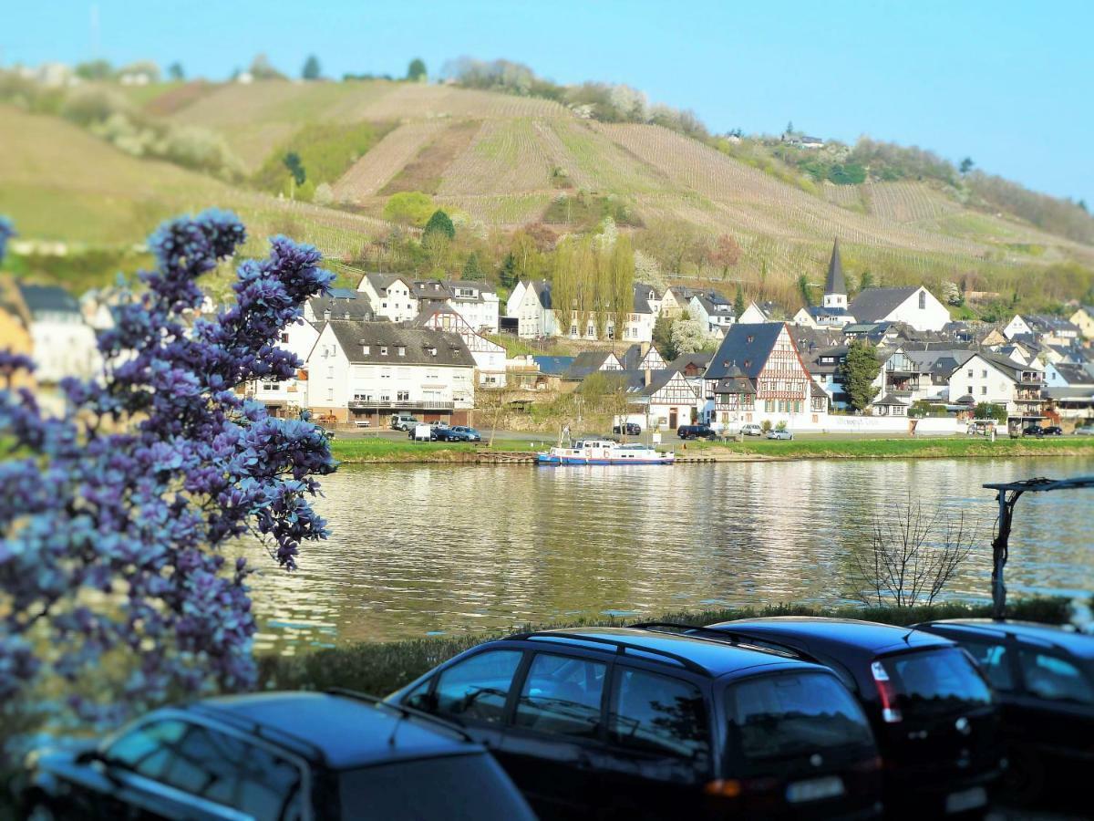 Mosel Ausblick Daire Zell an der Mosel Dış mekan fotoğraf