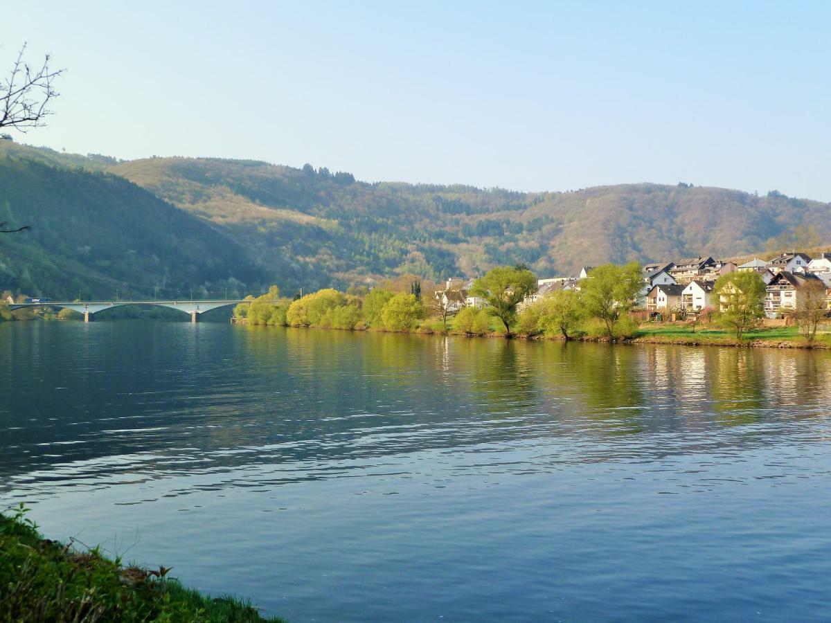 Mosel Ausblick Daire Zell an der Mosel Dış mekan fotoğraf