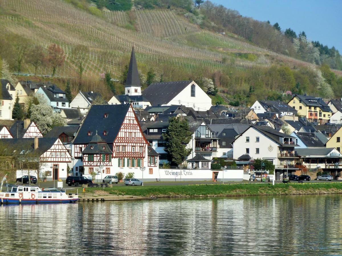 Mosel Ausblick Daire Zell an der Mosel Dış mekan fotoğraf