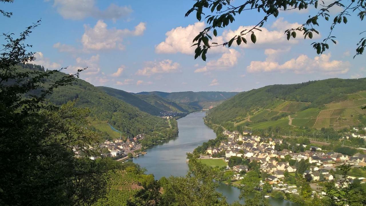 Mosel Ausblick Daire Zell an der Mosel Dış mekan fotoğraf